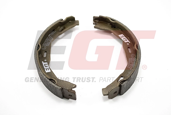 Brake Shoe Set, parking brake (421664EGT)