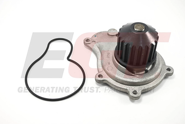Water Pump, engine cooling (701213EGT)