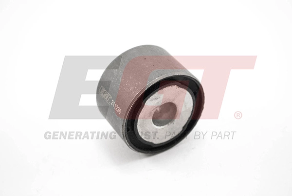 Mounting, differential (211236EGT)