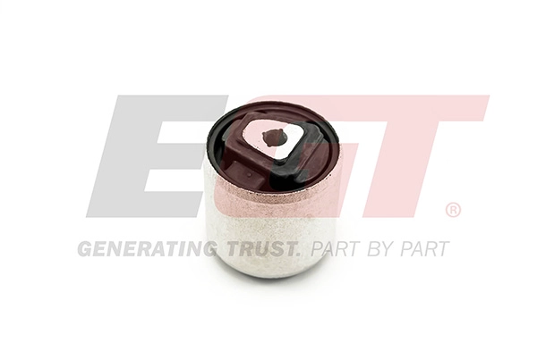 Mounting, control/trailing arm (181021EGT)