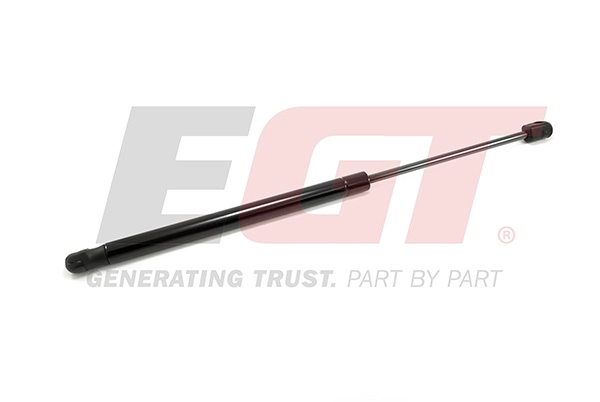 Gas Spring, boot/cargo area (510105EGT)