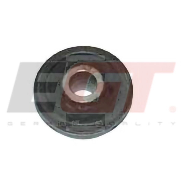 Mounting, control/trailing arm (211207EGT)