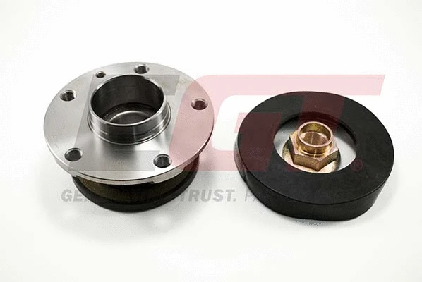 Wheel Bearing Kit (554423EGTk)