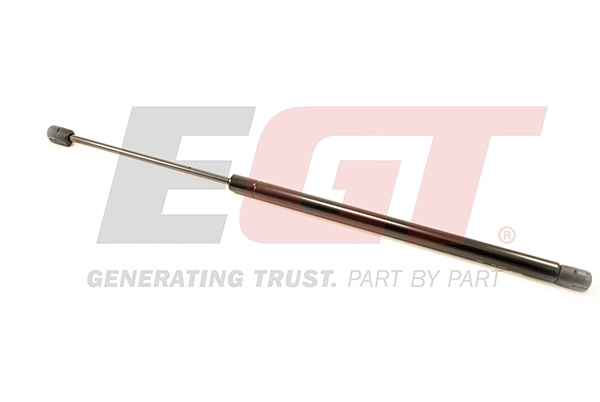 Gas Spring, boot/cargo area (510071EGT)