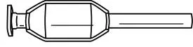 Catalytic Converter (22309)
