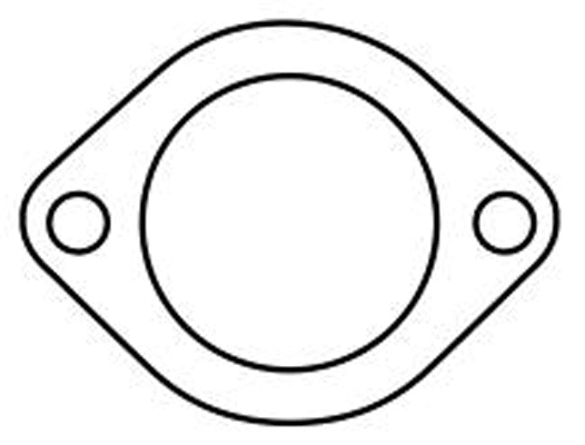 Gasket, exhaust pipe (037001)