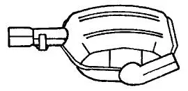 Centre Muffler (22414)