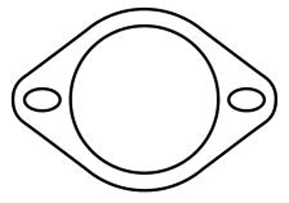 Gasket, exhaust pipe (037002)