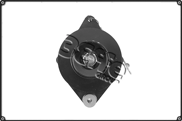 Alternator (ALTS902)