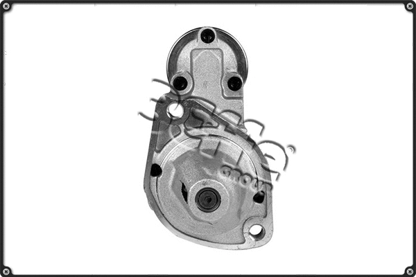 Starter (STRS753)