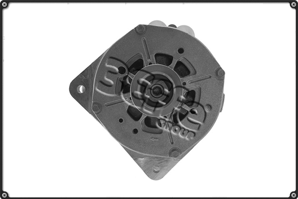 Alternator (ALTS348)