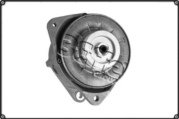 Alternator (ALTS466)