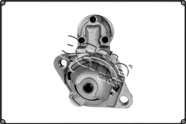 Starter (STRS925)