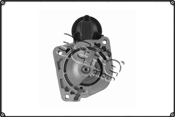 Starter (STRS711)