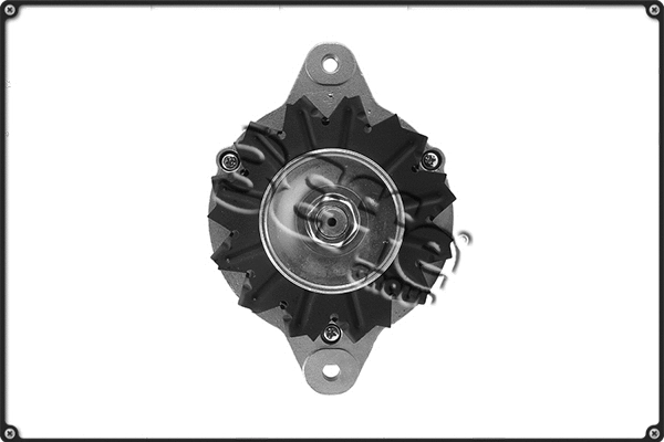Alternator (ALTS419)
