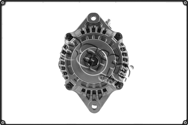 Alternator (ALTS101)