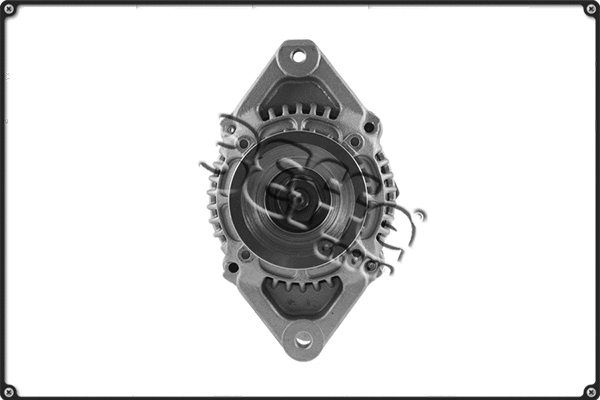 Alternator (ALTS841)