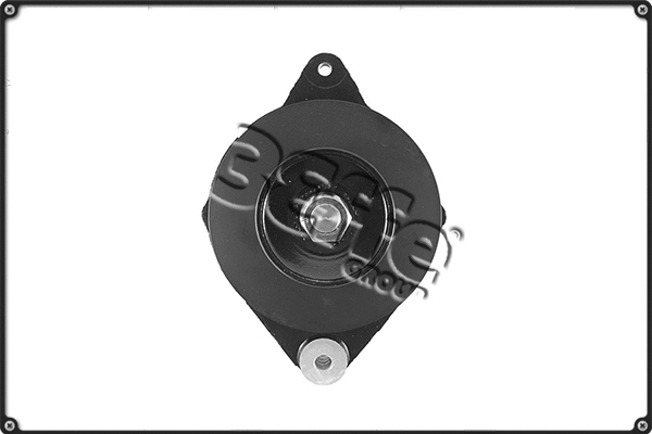 Alternator (ALTS504)