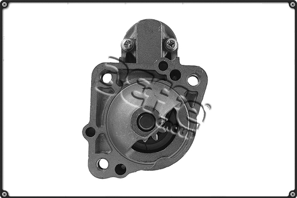 Starter (STRS309)