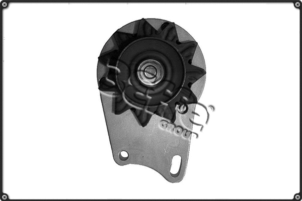 Alternator (ALTS208)