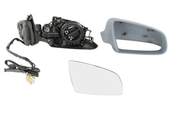 Exterior Mirror (5402-04-1191525)