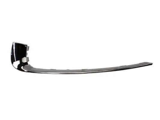 Trim/Protection Strip, bumper (6502-07-5079915CP)