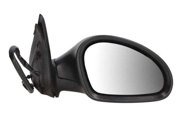 Exterior Mirror (5402-04-1121997P)