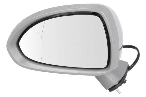 Exterior Mirror (5402-04-2001989P)