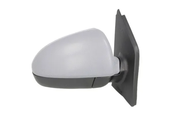 Exterior Mirror (5402-02-2002386P)