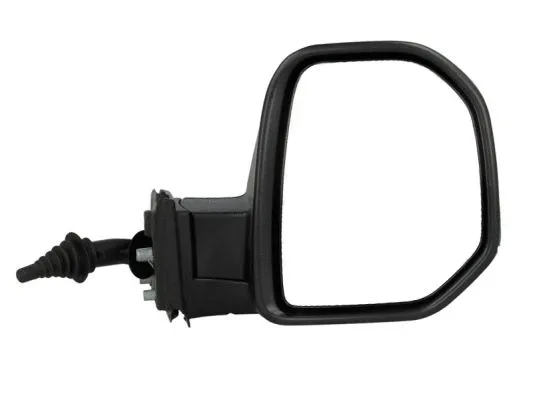 Exterior Mirror (5402-04-9215998)