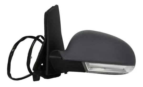 Exterior Mirror