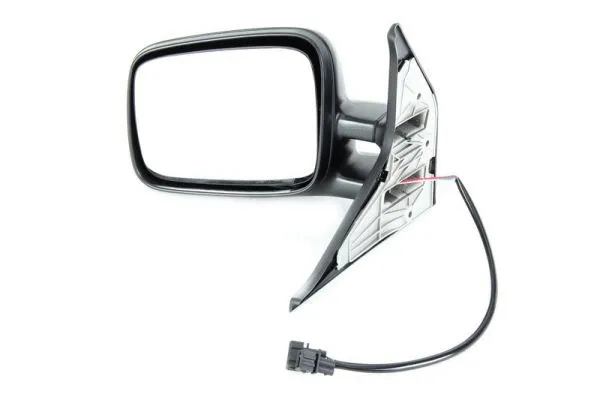 Exterior Mirror (5402-04-1125981)