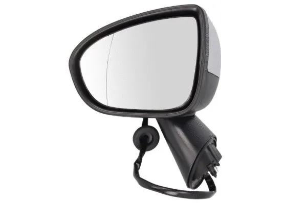 Exterior Mirror (5402-04-2002003P)