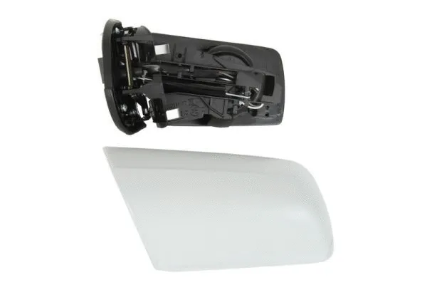 Exterior Mirror (5402-04-1125539)