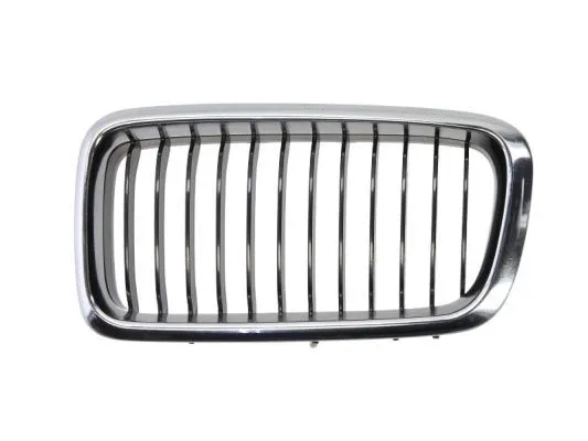 Radiator Grille (6502-07-0075995P)