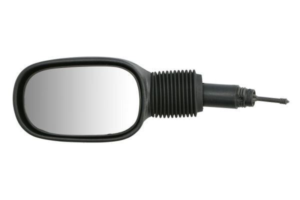 Exterior Mirror (5402-04-1192382)