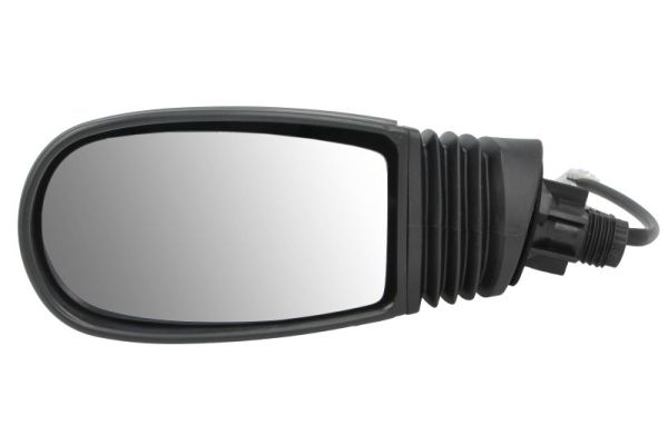 Exterior Mirror (5402-04-1125329)