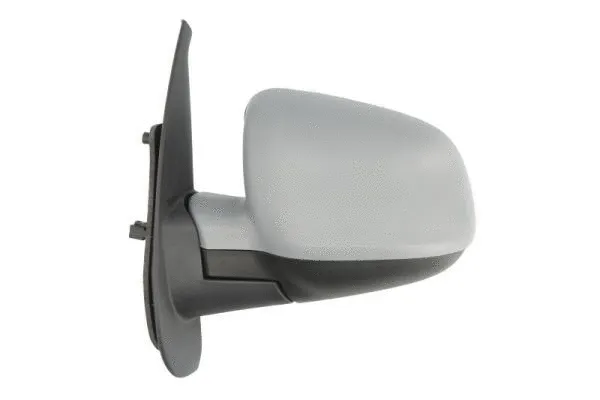 Exterior Mirror (5402-02-2001753P)