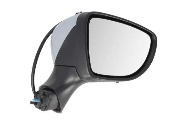 Exterior Mirror (5402-09-2002132P)