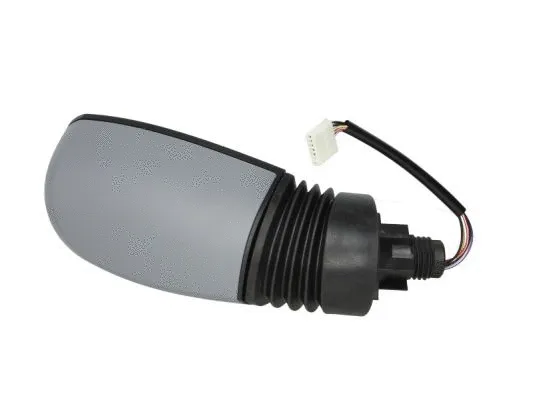 Exterior Mirror (5402-04-1121329P)