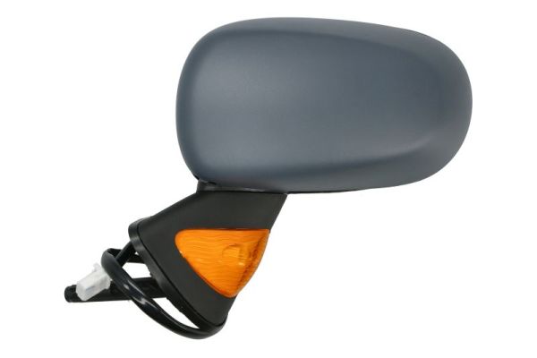 Exterior Mirror