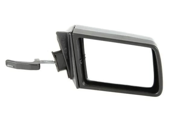 Exterior Mirror (5402-04-1192211P)