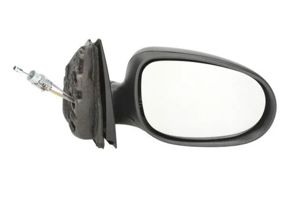 Exterior Mirror (5402-23-2001586P)