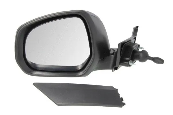 Exterior Mirror (5402-04-2001967P)