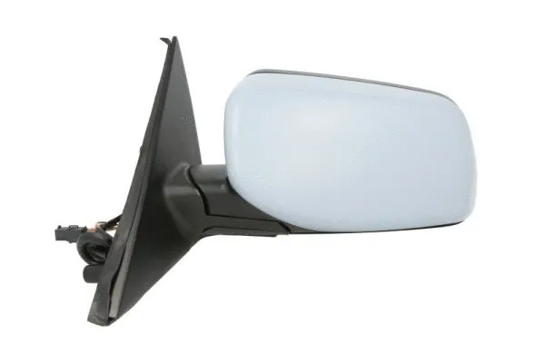 Exterior Mirror (5402-04-1111825P)