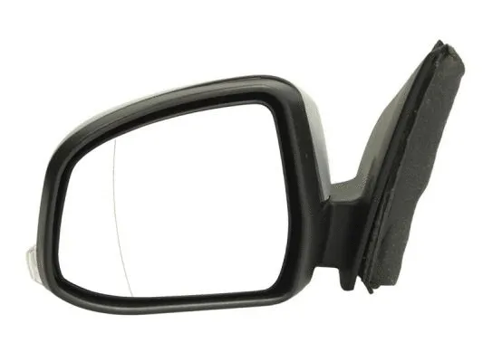 Exterior Mirror (5402-03-051365P)