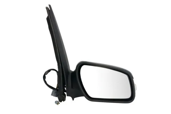 Exterior Mirror (5402-04-9222399P)