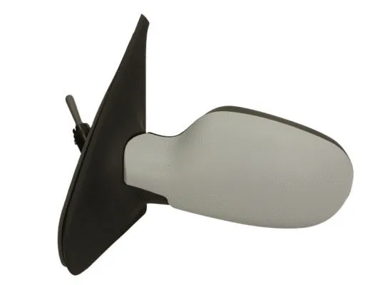 Exterior Mirror