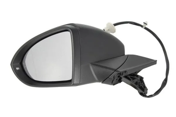 Exterior Mirror (5402-01-2002641P)