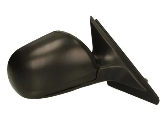 Exterior Mirror (5402-04-1121426P)